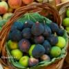 Lire cet article : Astuces sant� : bienfaits des fruits secs