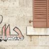 Lire cet article : Qatar : les graffitis exasp�rent les gens !