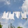 Lire cet article : Lessive, ce qu'il faut savoir