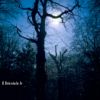 Lire cet article : Ph�nom�nes paranormaux