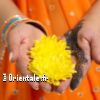 Lire cet article : F�te de l'A�d el-fitr dans le monde