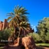 Lire cet article : Le charme du Nord du Maroc