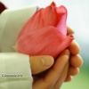 Lire cet article : La dimension spirituelle de ramadan