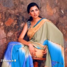 Sari indien color