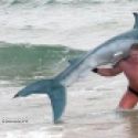 Homme fort qui dompte un requin (Fake-Twitter)