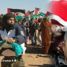 Militants Sahraouis - Militants Palestiniens : mme combat