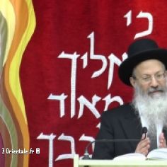 Rabbin qui interprte la Loi d'aprs le Shulchan Aruch