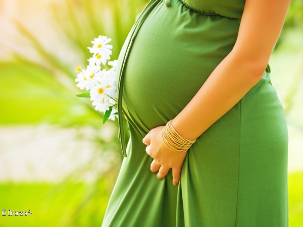 Femme enceinte Femme enceinte