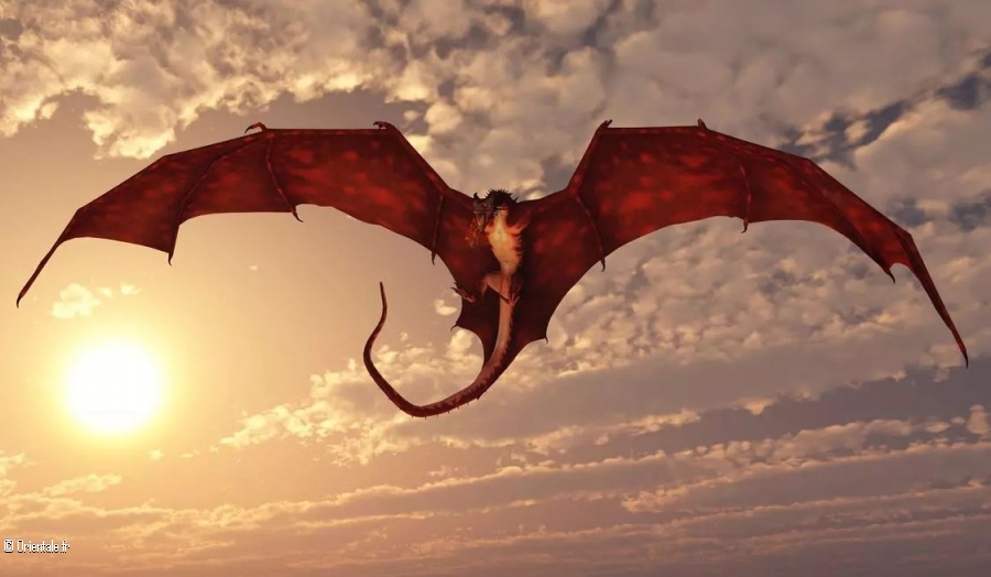 Signe du Dragon Signe du Dragon