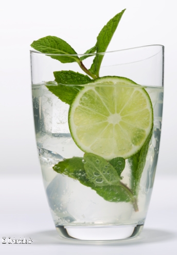 Mojito Mojito
