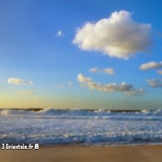 Mare en Amrique du Nord