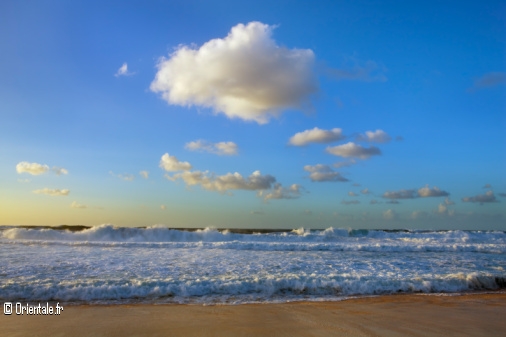 Mare en Amrique du Nord