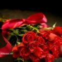 Beau bouquet de roses rouges