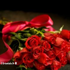 Beau bouquet de roses rouges