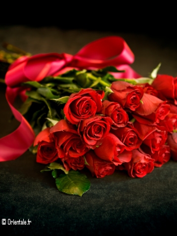 Beau bouquet de roses rouges