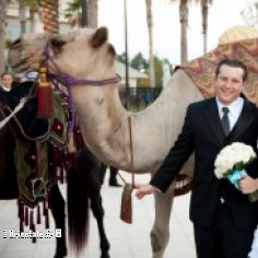 Mariage egyptien