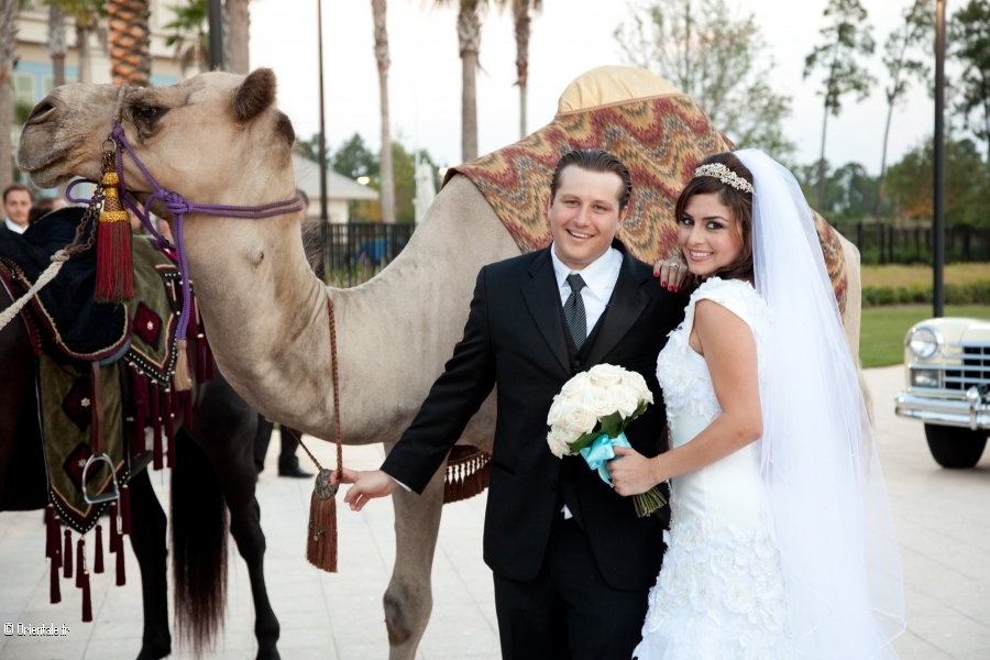 Mariage egyptien
