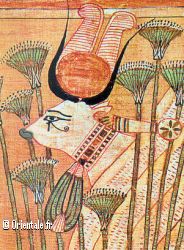 Hathor