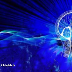 Cerveau innovation