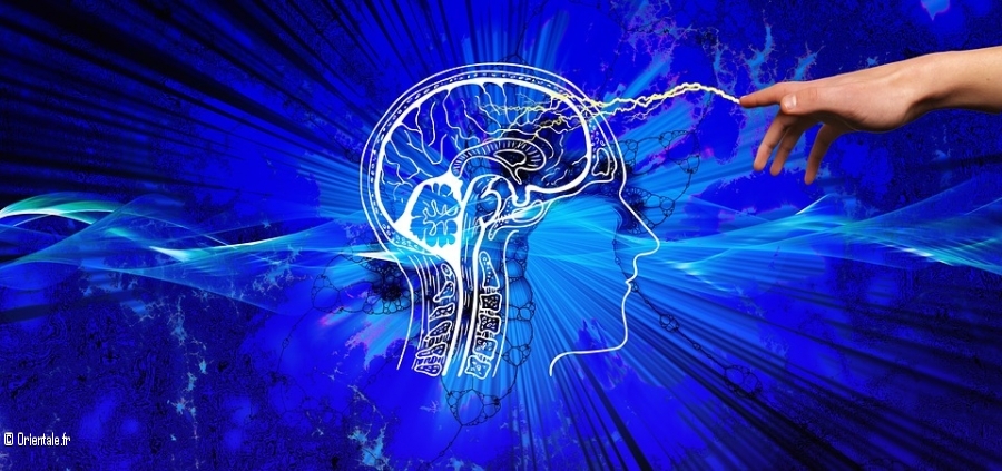 Cerveau innovation Cerveau innovation