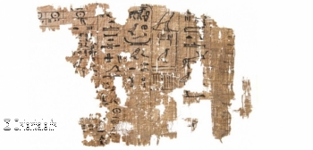 Papyrus Papyrus
