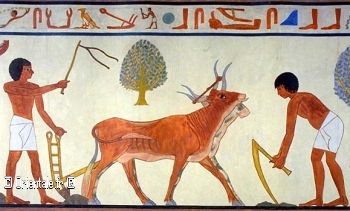 ' '