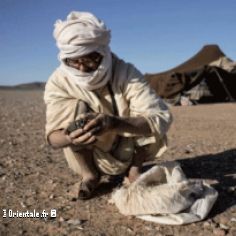 Ramasseur de meteorites au Sahara