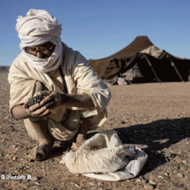 Ramasseur de meteorites au Sahara