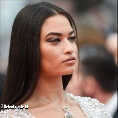 Shanina Shaik, mannequin pakistanais et arabe