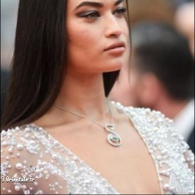 Shanina Shaik, mannequin pakistanais et arabe