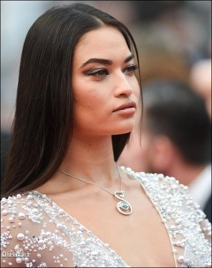 Shanina Shaik, mannequin pakistanais et arabe