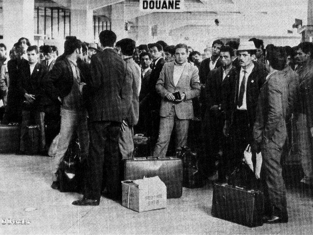 Immigration des Algeriens
