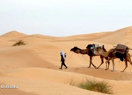 Femme bédouine du désert tunisien