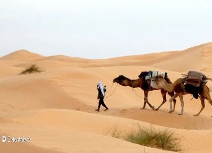 Femme bdouine du dsert tunisien