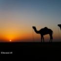 Hoggar, Algerie, Sahara