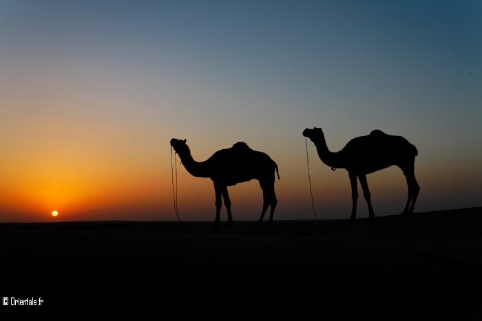 Hoggar, Algerie, Sahara