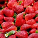 Fraises