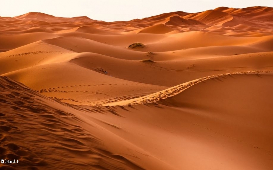 Desert d'Arabie belle