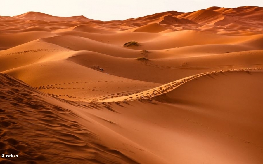 Desert d'Arabie belle Desert d'Arabie belle
