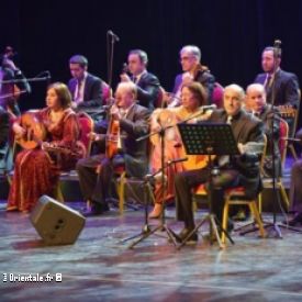 Festival de musique alg�rienne