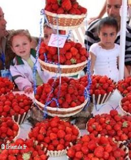 Jijel fraises Jijel fraises