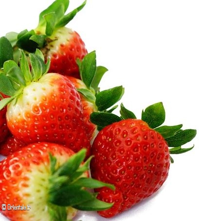 Fraises Fraises
