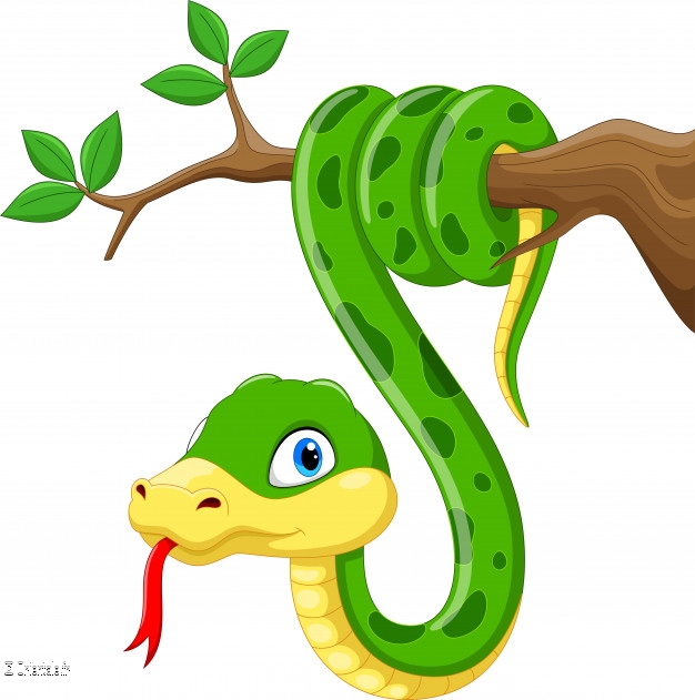 Serpent dessin1