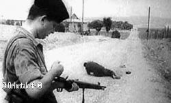 Soldats français tuant des innocents algériens