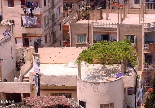 Liban, quartier qui a subi un incendie Liban, quartier qui a subi un incendie