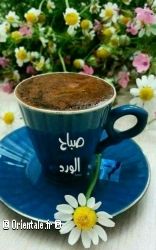 Café 3 Café