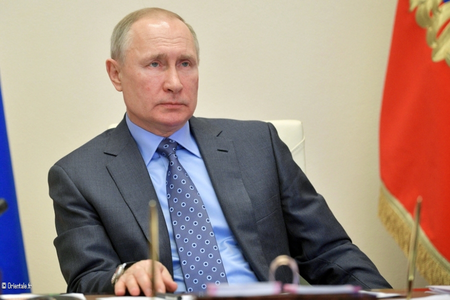 Vladimir Vladimir
