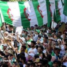 Kabyles brandissant le drapeau algrien