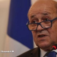 Le Drian