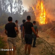 Des feux de forêt en Turquie
